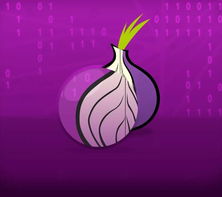 What is the Tor browser and how to use it?